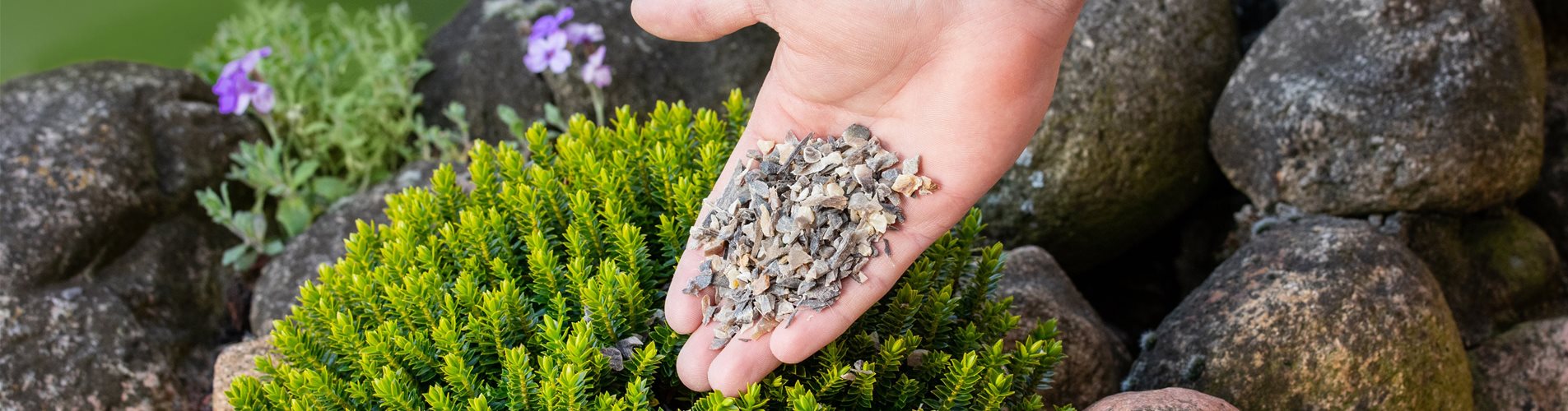 Dünger - Hornspäne Dünger - Hornspäne