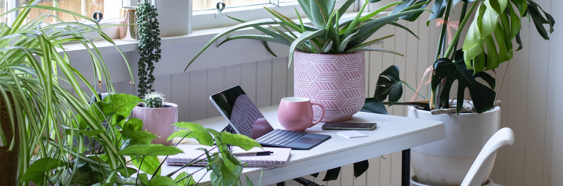 So schön... So schön...