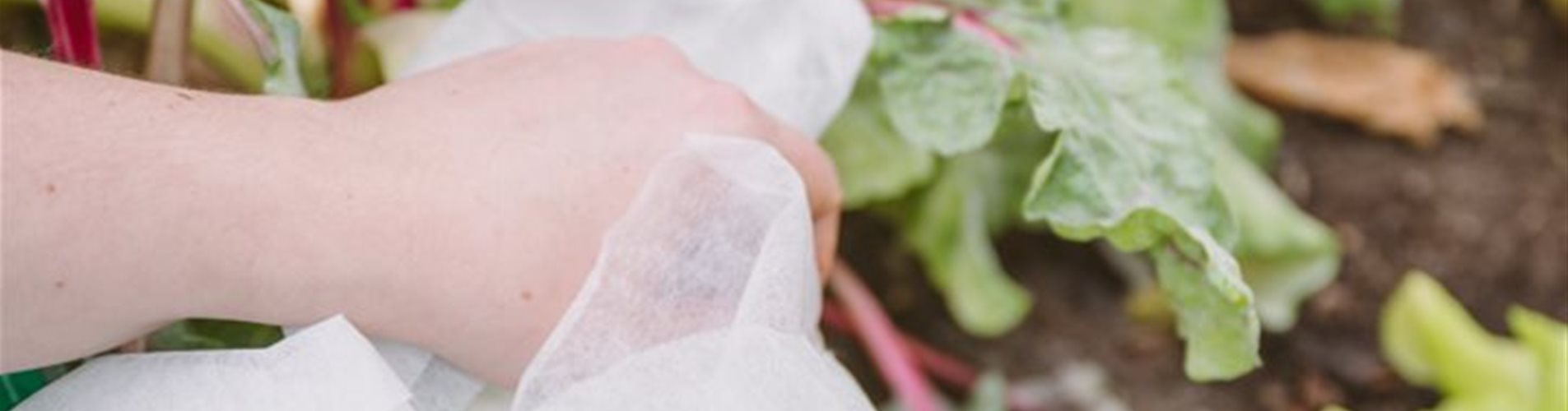 ladyvenom_bellaflora-286-0-244-719-404 ladyvenom_bellaflora-286-0-244-719-404