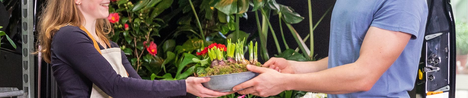 Einkauf im Pflanzengroßmarkt - Transporter beladen Einkauf im Pflanzengroßmarkt - Transporter beladen