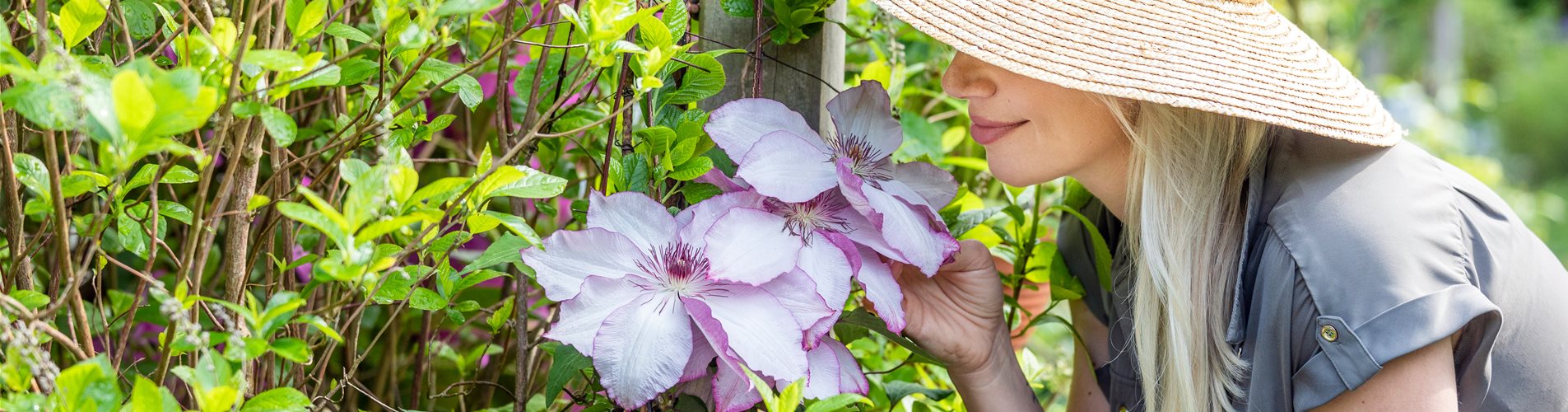 Frau im Garten Frau im Garten