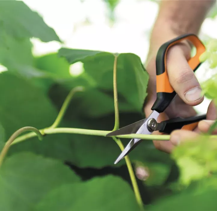 Universel-Gartenschere Solid