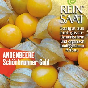 Andenbeere Schönbrunner Gold