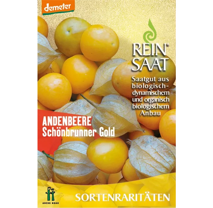 Andenbeere Schönbrunner Gold