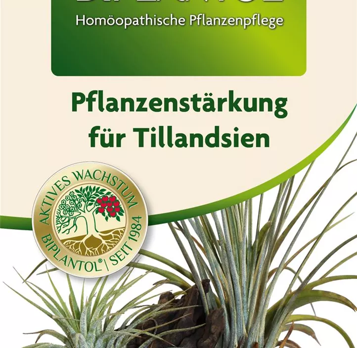 BIPLANTOL® Tillandsien anwendungsfertig