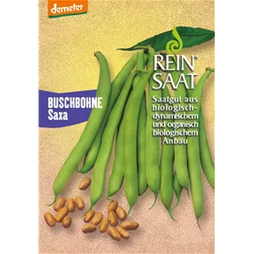 Buschbohne Saxa