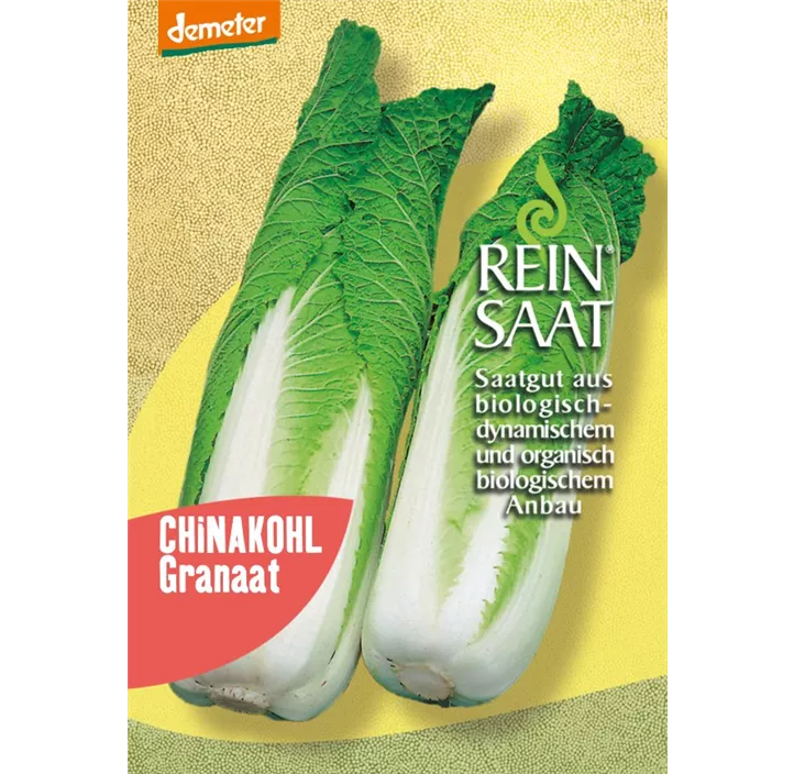 Chinakohl Granat