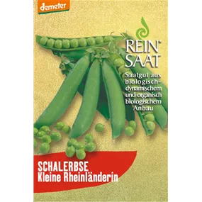 Erbse Kleine Rheinländerin