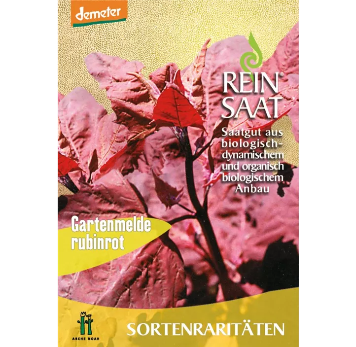 Gartenmelde rubinrot