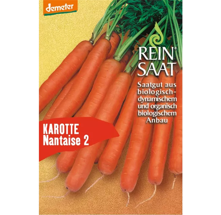 Karotte Nantaise 2