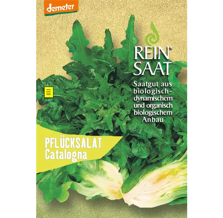 Salat Catalogna