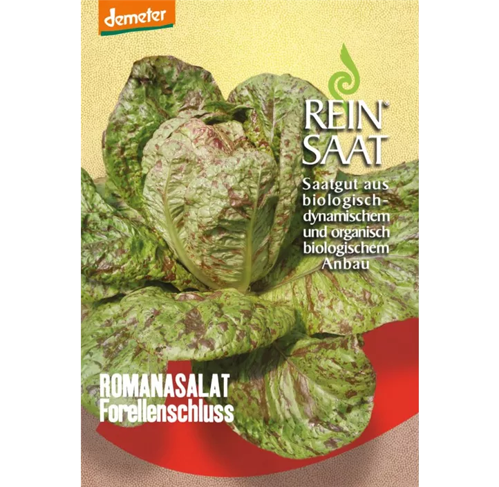 Salat Forellenschluß