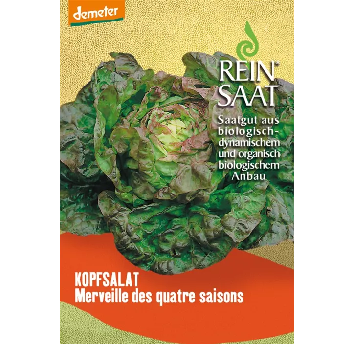 Salat Merveille de quatre sa.