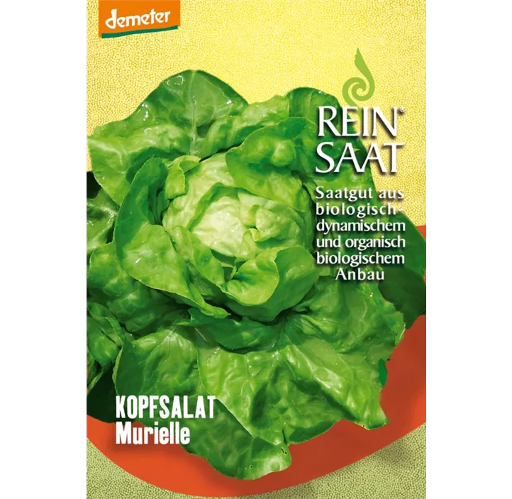 Salat Murielle