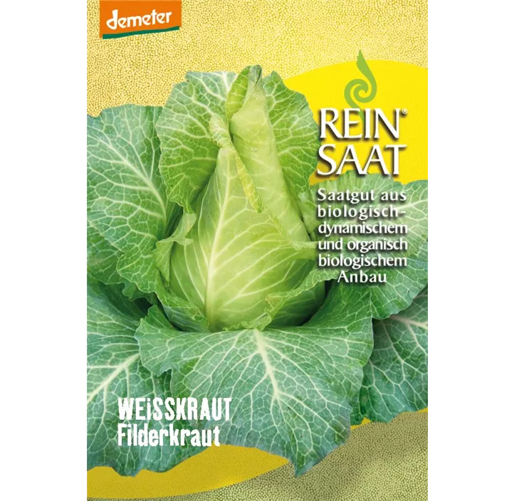 Spitzkraut Filderkraut