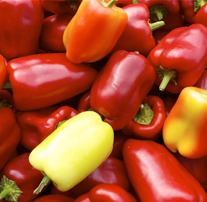 Paprika Albaregia