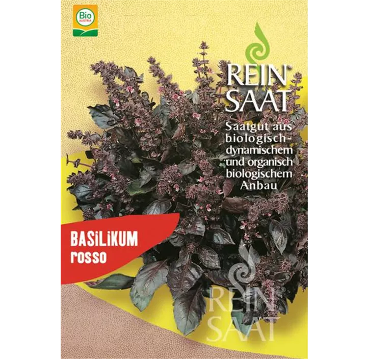 Basilikum rosso