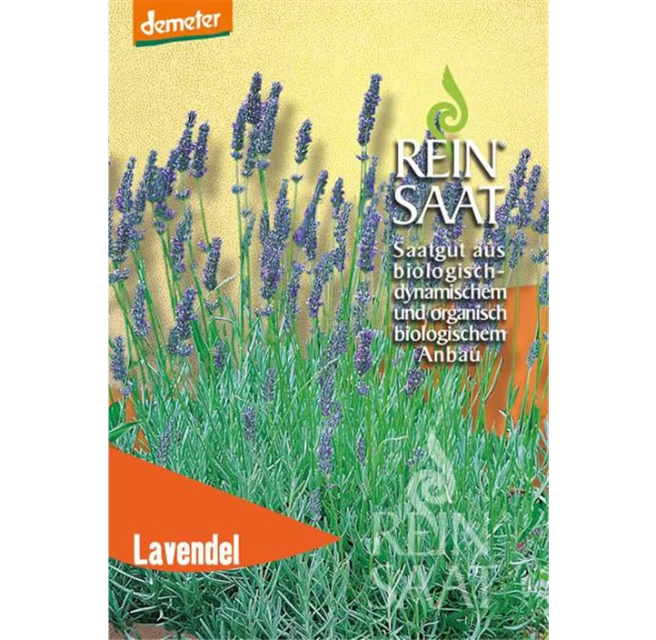 Lavendel