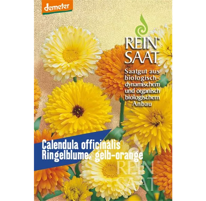 Ringelblume, gelb-orange