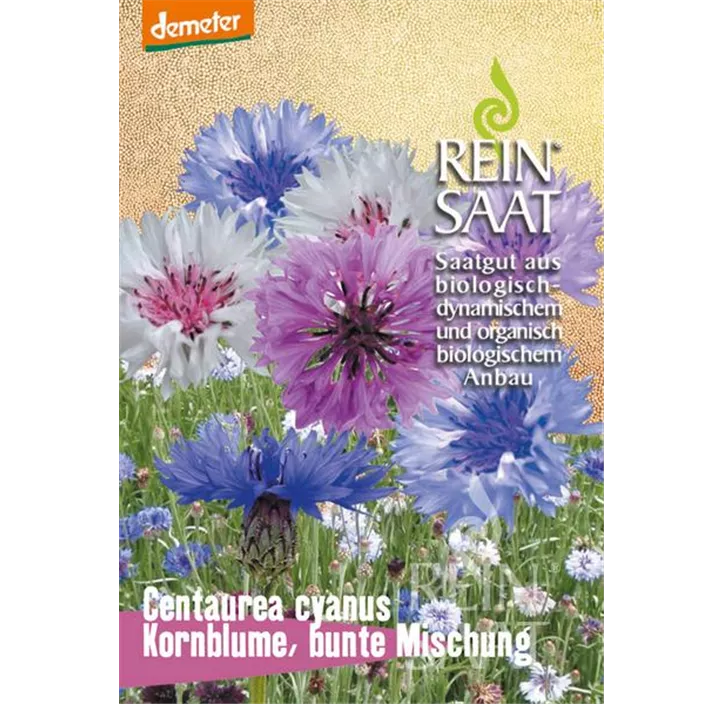 Kornblume, bunte Mischung