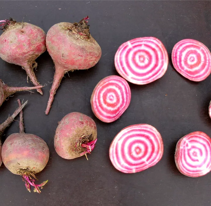 Rote Rübe Tonda di Chioggia