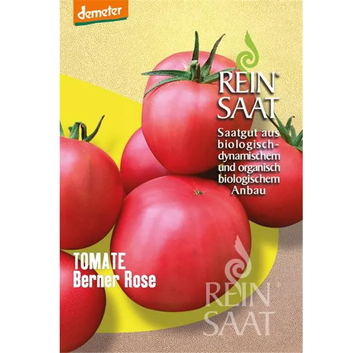 Tomate Berner Rose