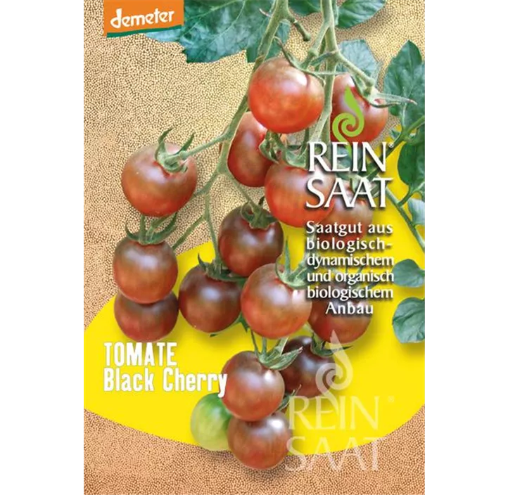 Tomate Black Cherrry