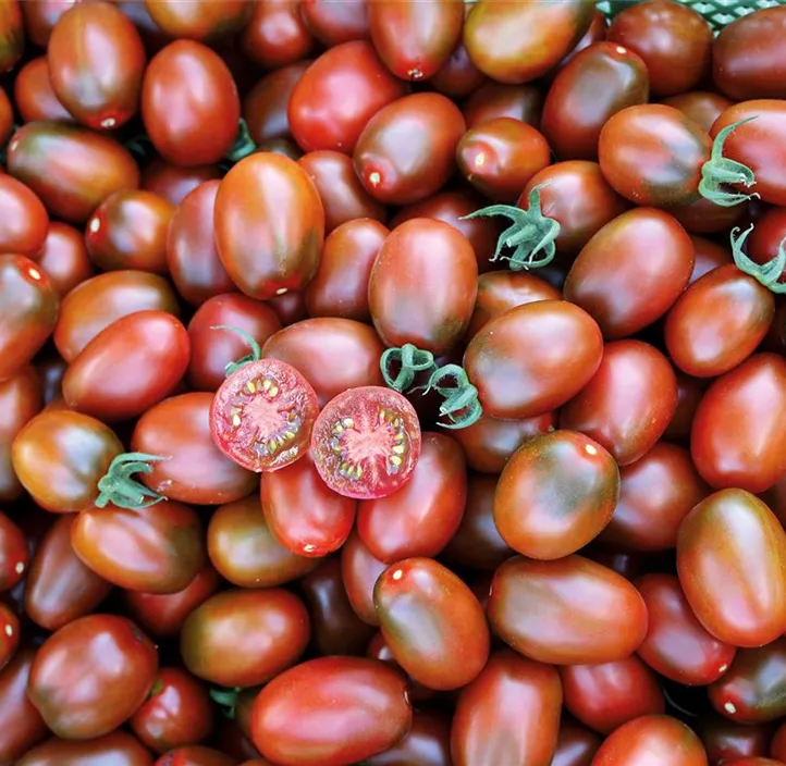 Tomate Black Plum