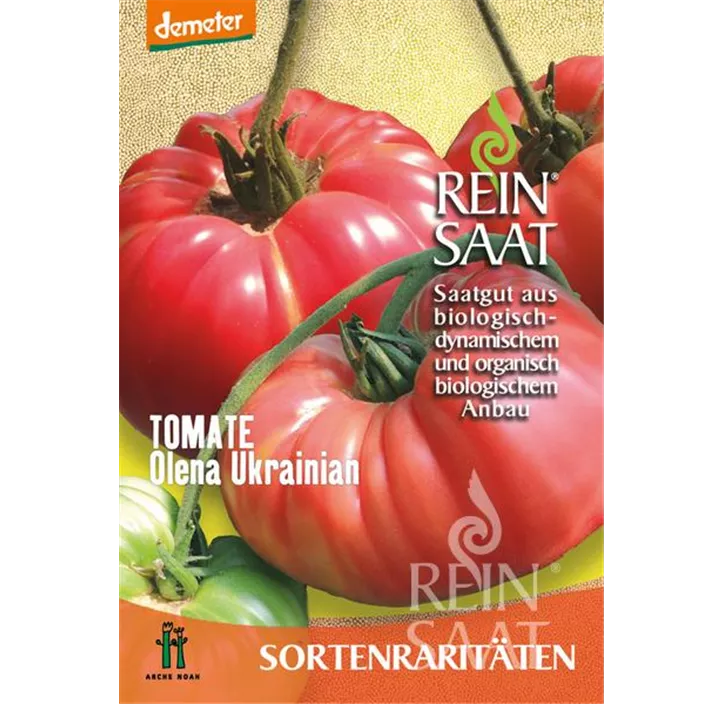 Tomate Olena Ukrainian