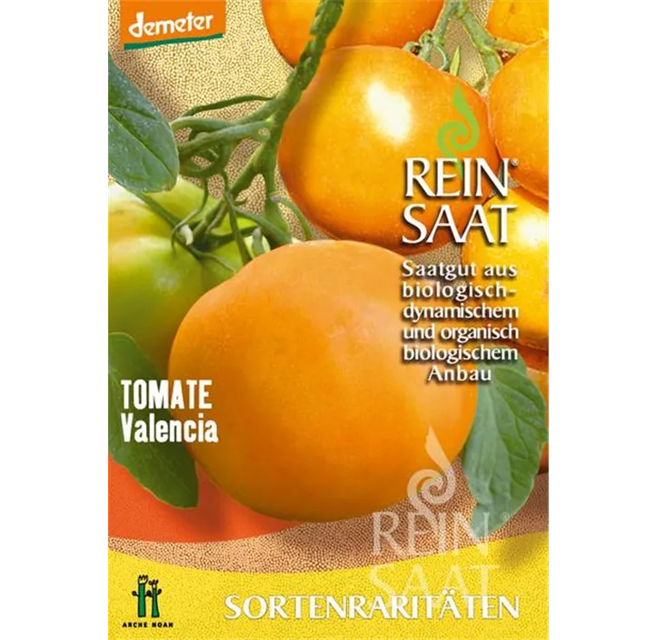 Tomate Valencia