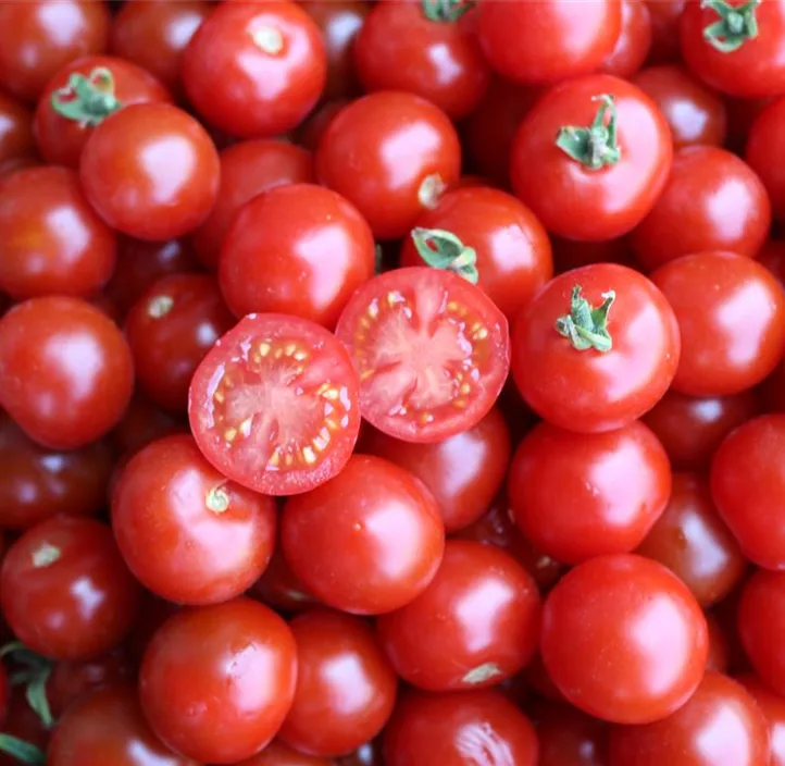 Tomate Zuckertraube