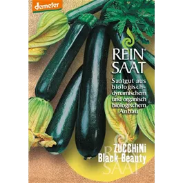 Zucchini Black Beauty