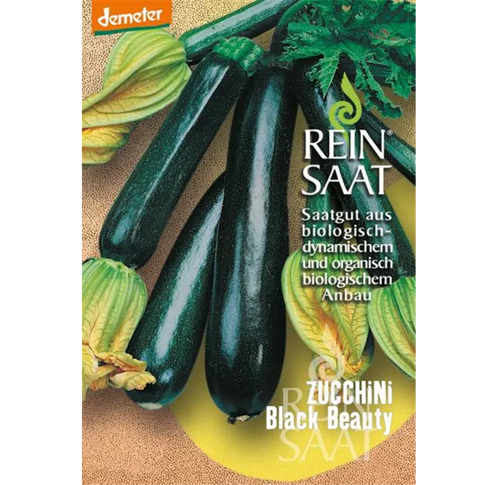 Zucchini Black Beauty