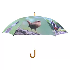 Regenschirm Vögel