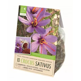 Crocus sativus BIO