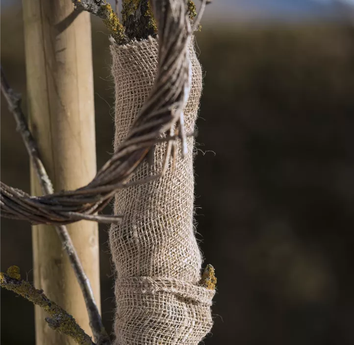 Jute Wickelstreifen