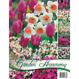 Garden Harmony Herbst pink