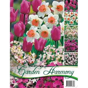 Garden Harmony Herbst pink