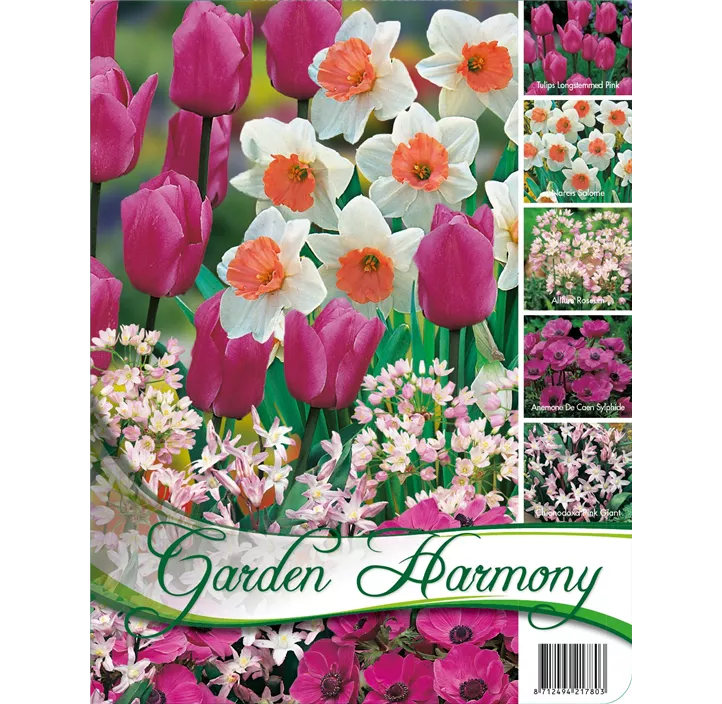 Garden Harmony Herbst pink