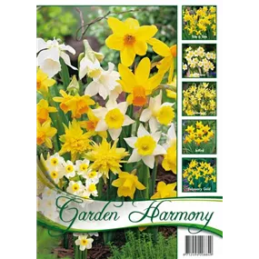 Mischung Narcissus Garden Harmony