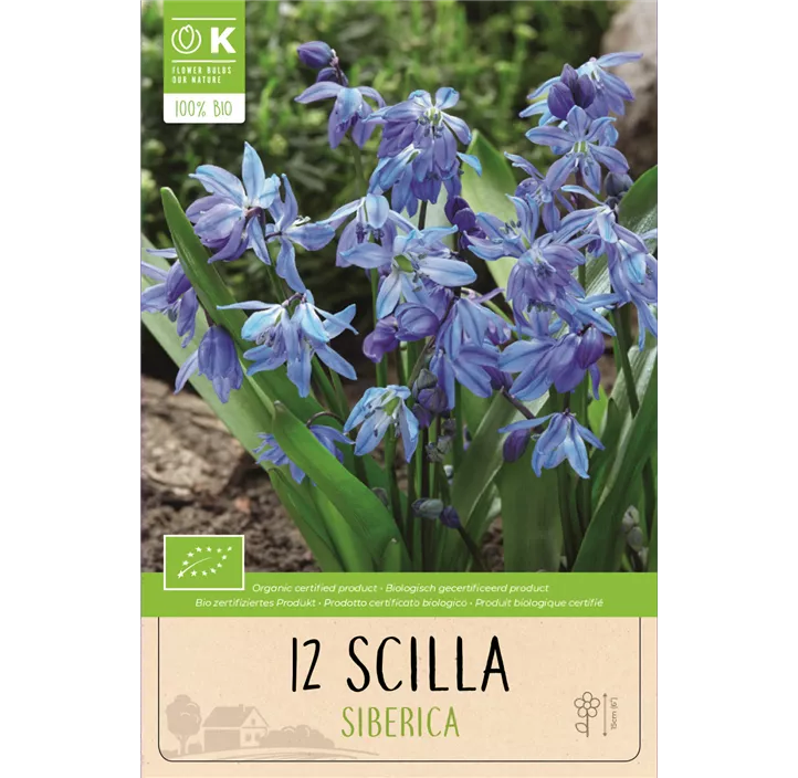 Scilla Siberica BIO