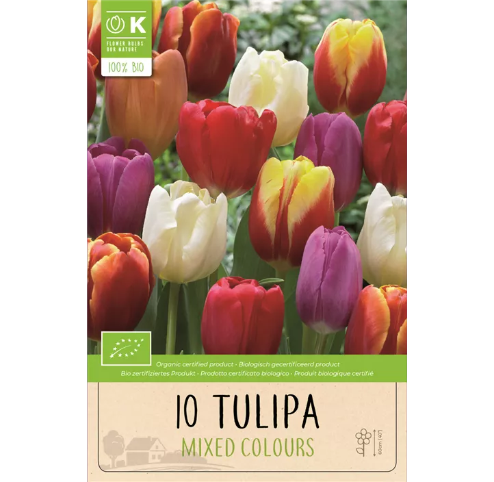 Tulipa Triumph Mischung BIO