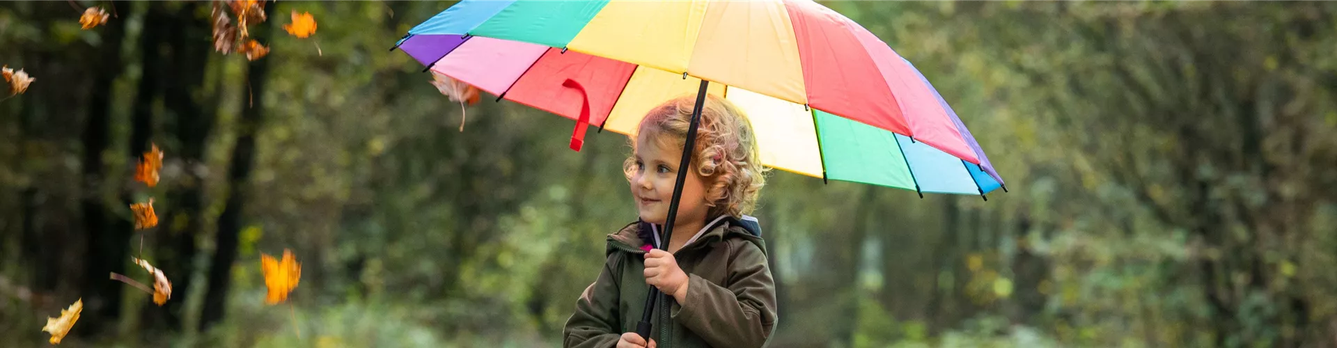 Regenschirme - Bellaflora