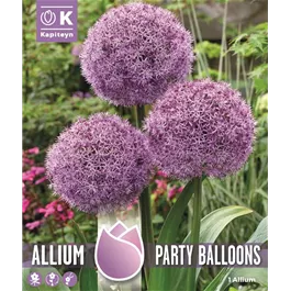 Allium Party Balloons