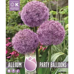 Allium Party Balloons