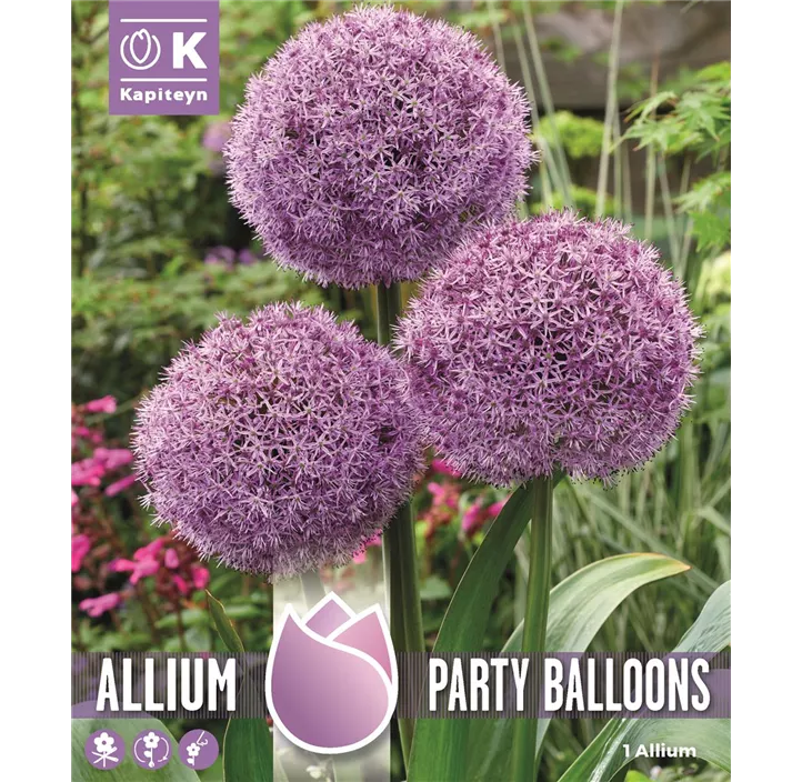 Allium Party Balloons