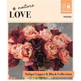 Bouquet Collection Tulipa Kupfer & Schwarz