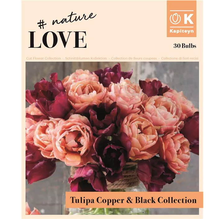 Bouquet Collection Tulipa Kupfer & Schwarz