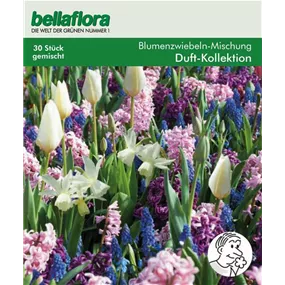 Blumenzwiebel Duft-Kollektion