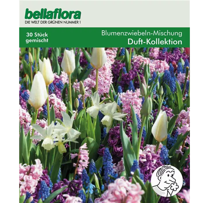 Blumenzwiebel Duft-Kollektion